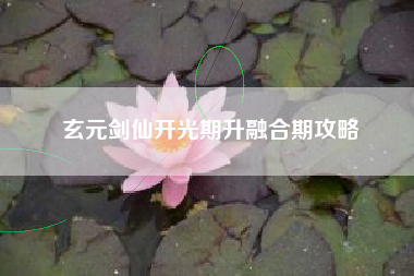 玄元剑仙开光期升融合期攻略