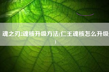 魂之刃2魂核升级方法(仁王魂核怎么升级)