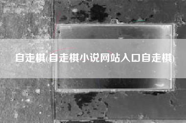 自走棋(自走棋小说网站入口自走棋)