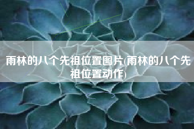 雨林的八个先祖位置图片(雨林的八个先祖位置动作)