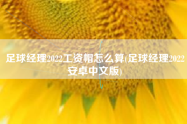 足球经理2022工资帽怎么算(足球经理2022安卓中文版)