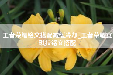 王者荣耀铭文搭配减缓冷却_王者荣耀安琪拉铭文搭配