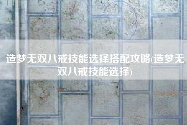 造梦无双八戒技能选择搭配攻略(造梦无双八戒技能选择)