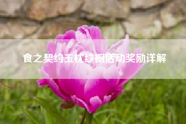 食之契约玉枕纱橱活动奖励详解