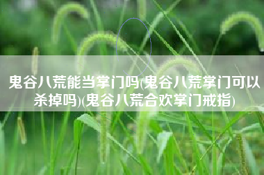 鬼谷八荒能当掌门吗(鬼谷八荒掌门可以杀掉吗)(鬼谷八荒合欢掌门戒指)