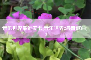 音乐世界最难关卡(音乐世界2最难歌曲)_2