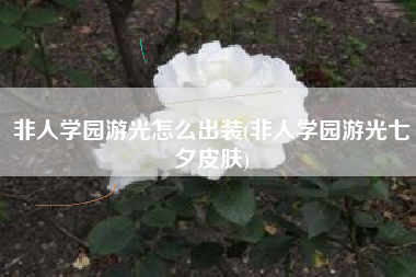 非人学园游光怎么出装(非人学园游光七夕皮肤)