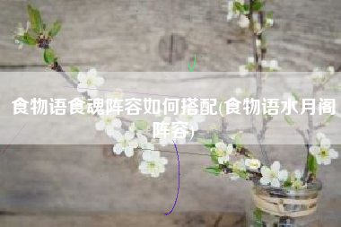 食物语食魂阵容如何搭配(食物语水月阁阵容)