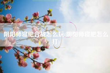 阴阳师寝肥合战怎么玩(阴阳师寝肥怎么打)