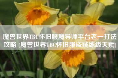 魔兽世界TBC怀旧服魔导师平台老一打法攻略 (魔兽世界TBC怀旧服盗贼练级天赋)