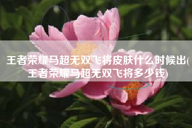 王者荣耀马超无双飞将皮肤什么时候出(王者荣耀马超无双飞将多少钱)