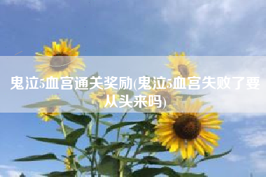 鬼泣5血宫通关奖励(鬼泣5血宫失败了要从头来吗)