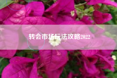 转会市场玩法攻略2022