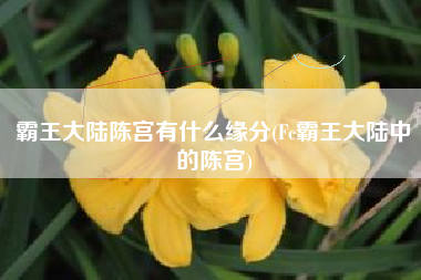 霸王大陆陈宫有什么缘分(Fc霸王大陆中的陈宫)