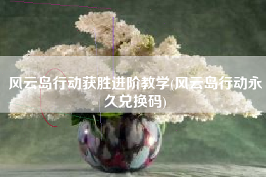 风云岛行动获胜进阶教学(风云岛行动永久兑换码)