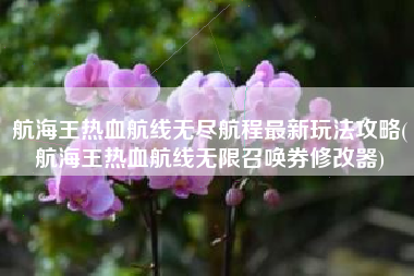 航海王热血航线无尽航程最新玩法攻略(航海王热血航线无限召唤券修改器)
