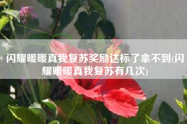 闪耀暖暖真我复苏奖励达标了拿不到(闪耀暖暖真我复苏有几次)