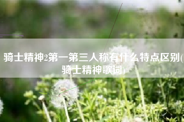 骑士精神2第一第三人称有什么特点区别(骑士精神歌词)
