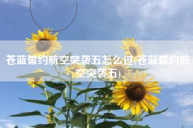 苍蓝誓约航空突袭五怎么过(苍蓝誓约航空突袭五)