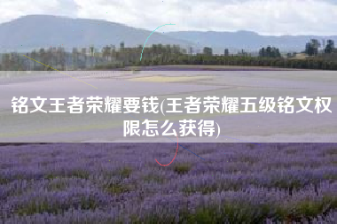 铭文王者荣耀要钱(王者荣耀五级铭文权限怎么获得)