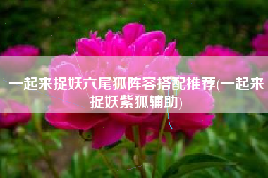 一起来捉妖六尾狐阵容搭配推荐(一起来捉妖紫狐辅助)