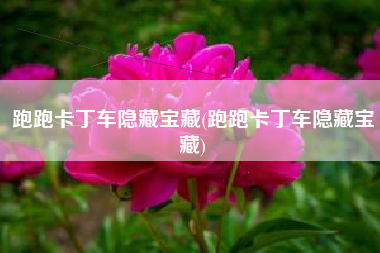 跑跑卡丁车隐藏宝藏(跑跑卡丁车隐藏宝藏)