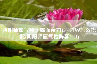 阴阳师蜃气楼千蝎面帝刀4500阵容怎么搭配(阴阳师蜃气楼阵容2021)
