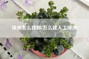 绿洲怎么建群(怎么建人工绿洲)