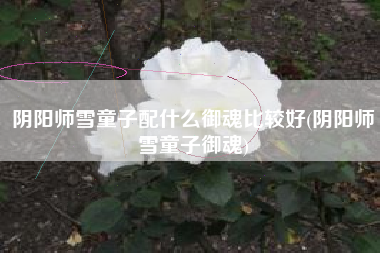 阴阳师雪童子配什么御魂比较好(阴阳师雪童子御魂)