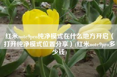 红米note9pro纯净模式在什么地方开启（打开纯净模式位置分享）(红米note9pro多少钱)