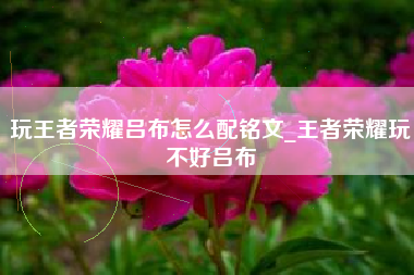 玩王者荣耀吕布怎么配铭文_王者荣耀玩不好吕布