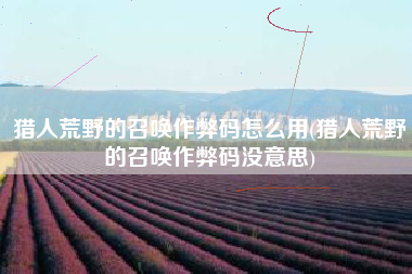 猎人荒野的召唤作弊码怎么用(猎人荒野的召唤作弊码没意思)