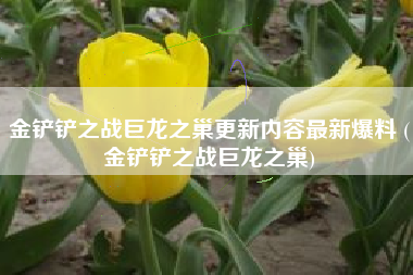 金铲铲之战巨龙之巢更新内容最新爆料 (金铲铲之战巨龙之巢)