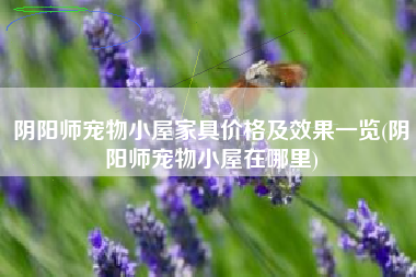 阴阳师宠物小屋家具价格及效果一览(阴阳师宠物小屋在哪里)