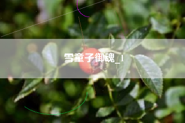 雪童子御魂_1