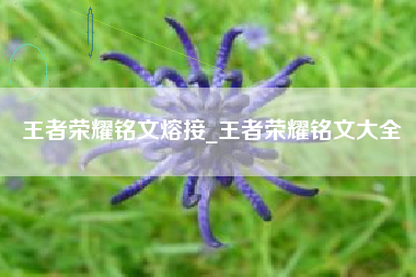 王者荣耀铭文熔接_王者荣耀铭文大全