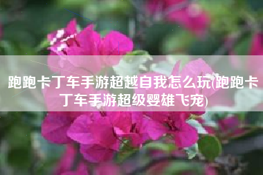跑跑卡丁车手游超越自我怎么玩(跑跑卡丁车手游超级婴雄飞宠)