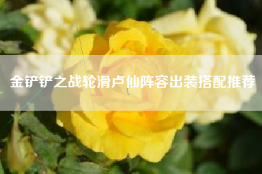 金铲铲之战轮滑卢仙阵容出装搭配推荐