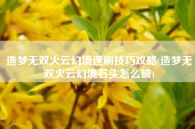 造梦无双火云幻境速刷技巧攻略(造梦无双火云幻境石头怎么破)