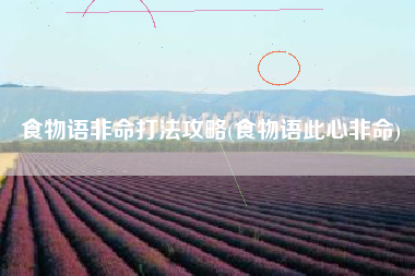 食物语非命打法攻略(食物语此心非命)