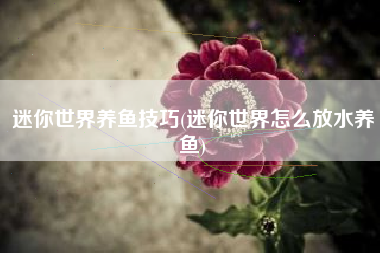 迷你世界养鱼技巧(迷你世界怎么放水养鱼)