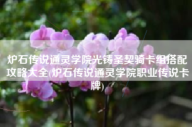炉石传说通灵学院光铸圣契骑卡组搭配攻略大全(炉石传说通灵学院职业传说卡牌)