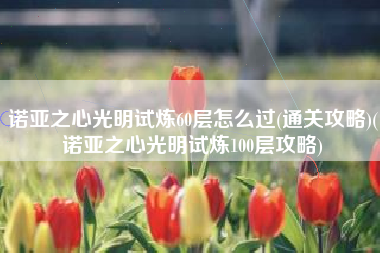 诺亚之心光明试炼60层怎么过(通关攻略)(诺亚之心光明试炼100层攻略)