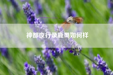 神都夜行录鹿蜀如何样