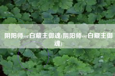 阴阳师ssr白藏主御魂(阴阳师ssr白藏主御魂)