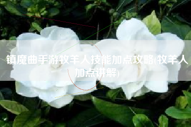 镇魔曲手游牧羊人技能加点攻略(牧羊人加点讲解)