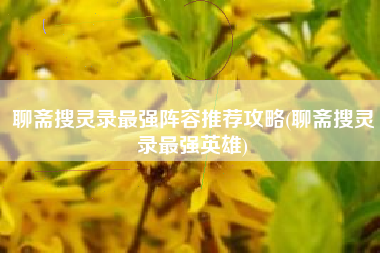 聊斋搜灵录最强阵容推荐攻略(聊斋搜灵录最强英雄)