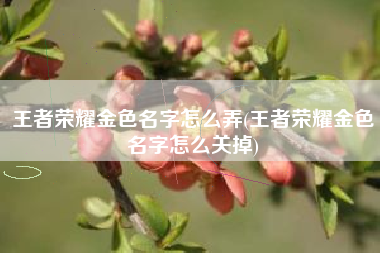 王者荣耀金色名字怎么弄(王者荣耀金色名字怎么关掉)