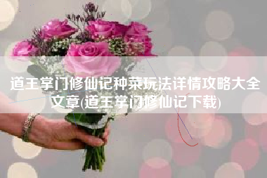 道王掌门修仙记种菜玩法详情攻略大全文章(道王掌门修仙记下载)