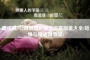 魔法洞穴2博物馆护腿类收藏图鉴大全(哈维与魔法博物馆)